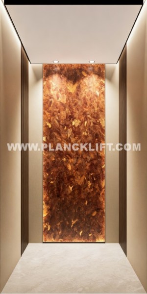 Direct-Supply Villa Communities Energy-Efficient Home Elevator