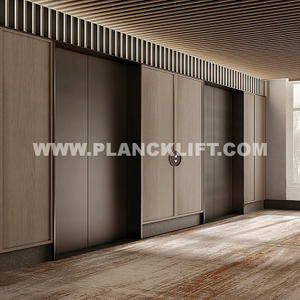 Low-Speed Traction Passenger Elevator