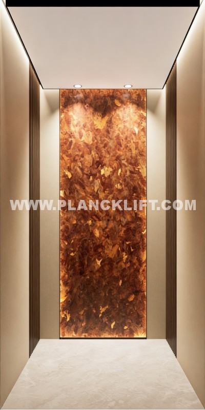 Small-Sized Multi-Building Adaptable Traction Passenger Elevator