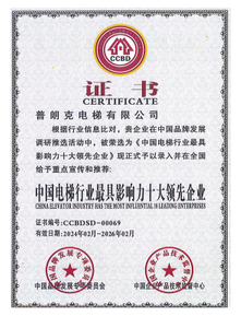 China's Leading Enterprise