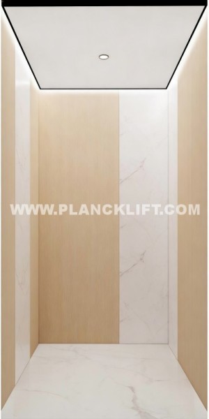 Direct-Supply Villa Communities Energy-Efficient Home Elevator