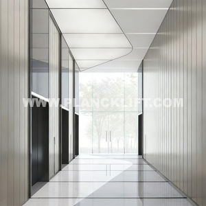 Reliable Commercial Passenger Elevator from China | PLANCK