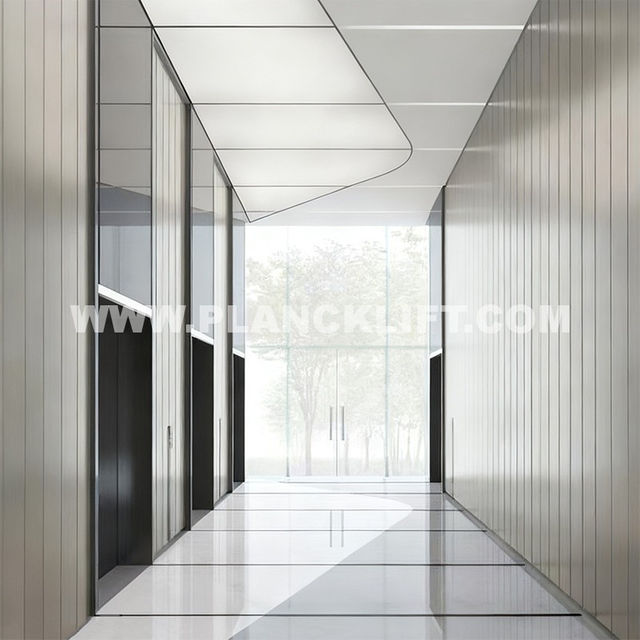 Reliable Commercial Passenger Elevator from China | PLANCK