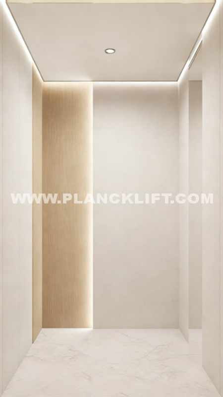 Family-Use Compact Self-Built Houses Small Residential Elevator