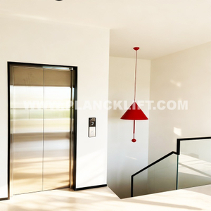 Made in China Residential Elevator for Home Villa House