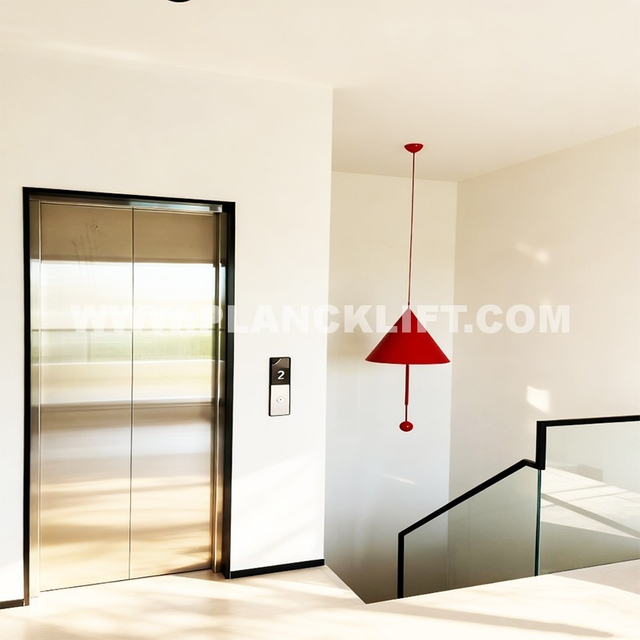 Made in China Residential Elevator for Home Villa House